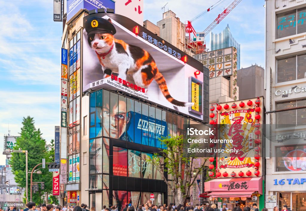 新宿の風景LED大型サイネージ猫画像